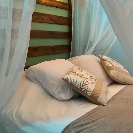 Escapade Zen Oasis Tropicale Privatif Loon-Plage